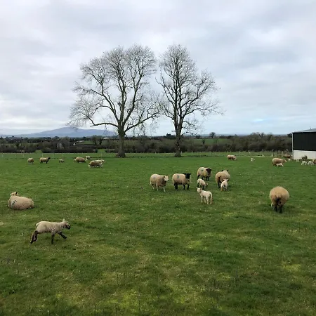 Knockreagh Farm Cottages, Callan, Σπίτι διακοπών *