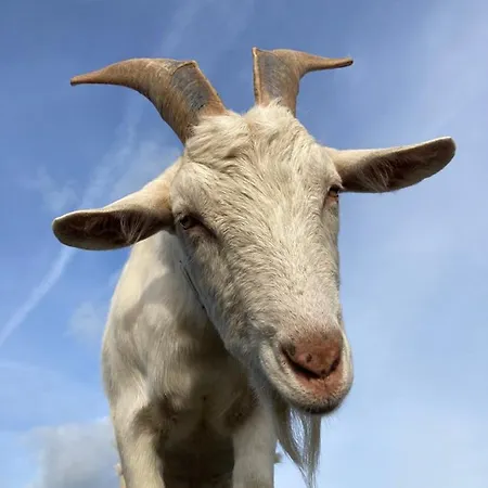 Knockreagh Farm Cottages, Callan, Semesterbostad