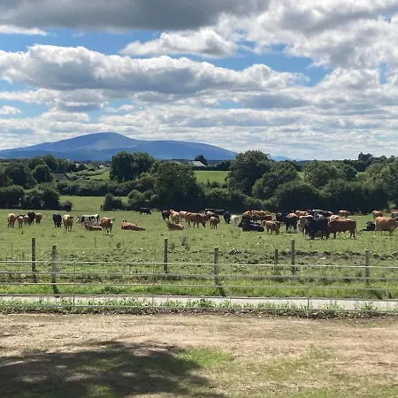 Knockreagh Farm Cottages, Callan, Dom wakacyjny *