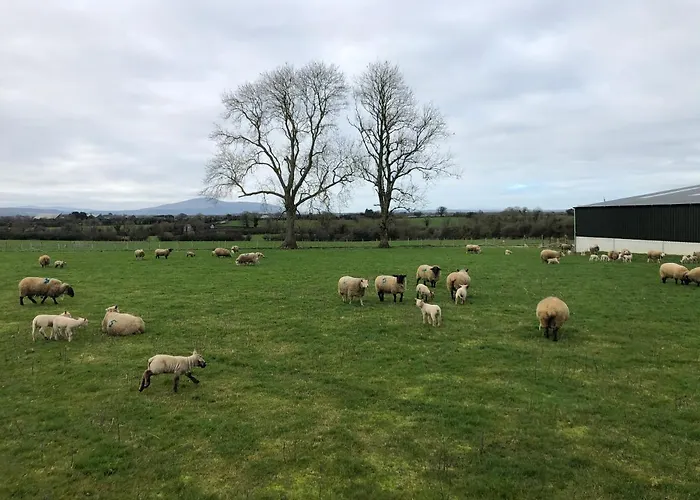 Knockreagh Farm Cottages, Callan, بيت للعطل *